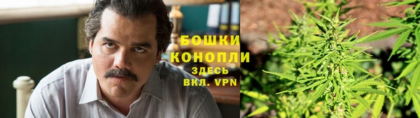 гидропоника Гусь-Хрустальный