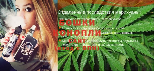 гидропоника Гусь-Хрустальный