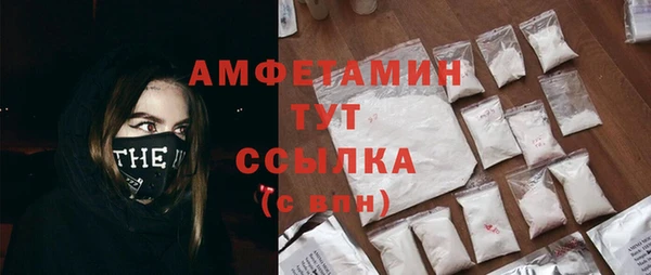 PSILOCYBIN Гусев