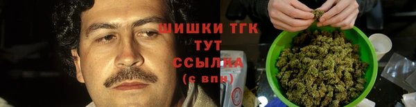 ПСИЛОЦИБИНОВЫЕ ГРИБЫ Гусиноозёрск