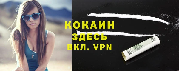 PSILOCYBIN Гусев