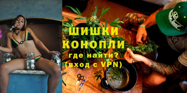 PSILOCYBIN Гусев