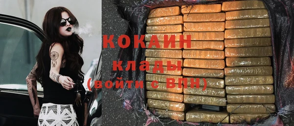 гидропоника Гусь-Хрустальный