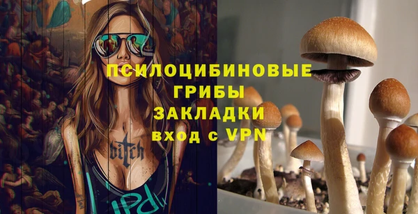 PSILOCYBIN Гусев