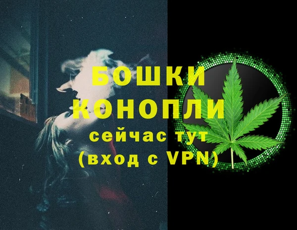 PSILOCYBIN Гусев