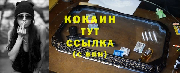 ПСИЛОЦИБИНОВЫЕ ГРИБЫ Гусиноозёрск