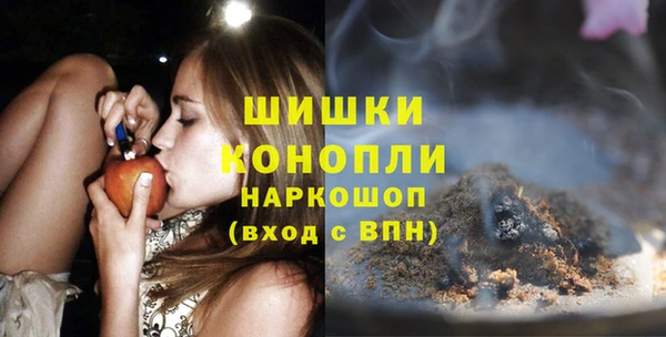PSILOCYBIN Гусев
