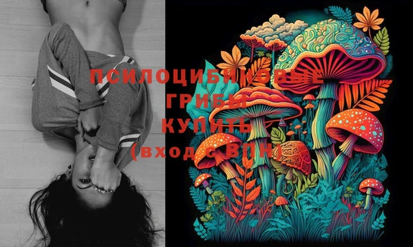 гидропоника Гусь-Хрустальный