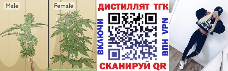 ТГК жижа Кировград